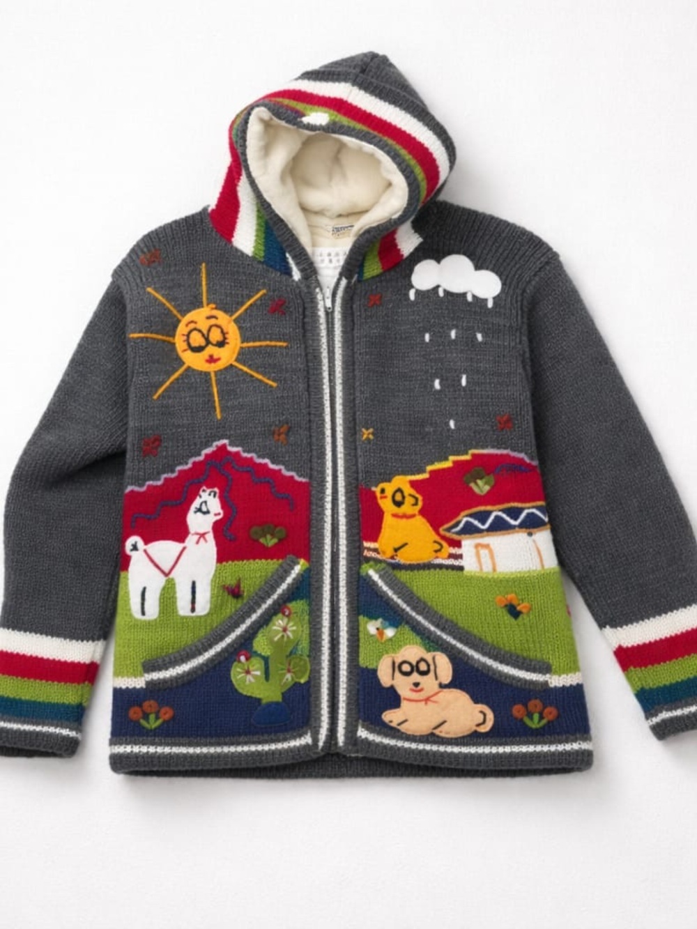 Colorful Knit Hooded Cardigan